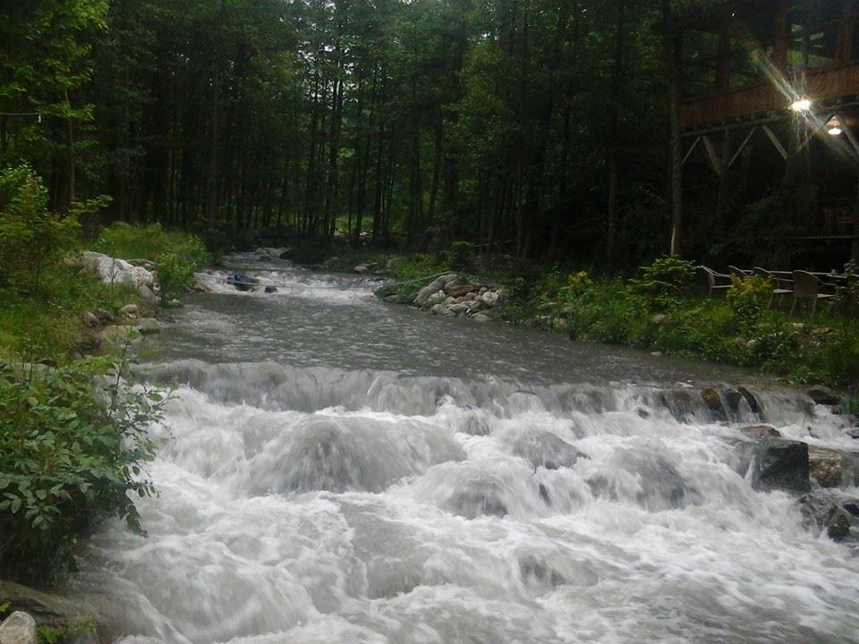 Asina Motel Sapanca Kültér fotó